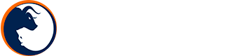 Logo SmartTrader - Robô HFT Trader para Bolsa e Forex