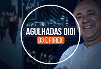 Robô Trader Agulhadas do Didi Index